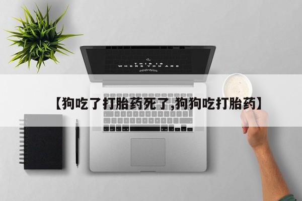 卖打胎药流产药微信动态 第63页