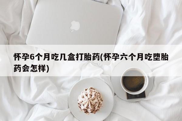 卖打胎药流产药微信怀孕6个月吃几盒打胎药(怀孕六个月吃堕胎药会怎样)