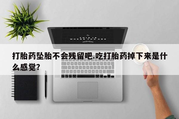 卖打胎药流产药微信打胎药坠胎不会残留吧.吃打胎药掉下来是什么感觉？
