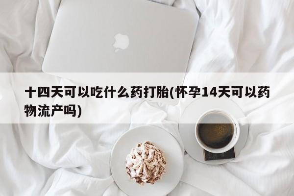 卖打胎药流产药微信十四天可以吃什么药打胎(怀孕14天可以药物流产吗)